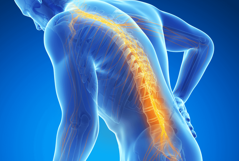 Stem cell therapy for autism