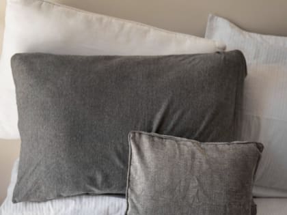 Опасные соседи: как пылевые клещи влияют на ваше здоровье