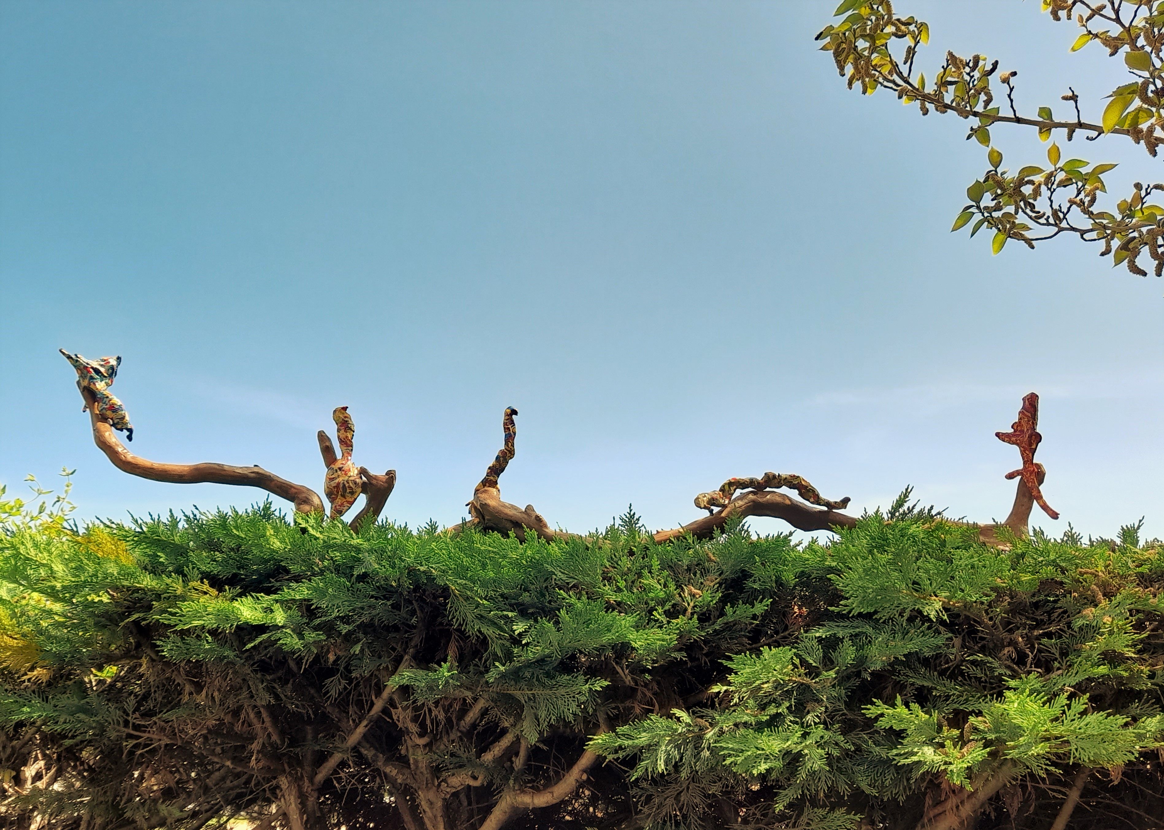 Dialogue sur la branche- 150 cm.jpg