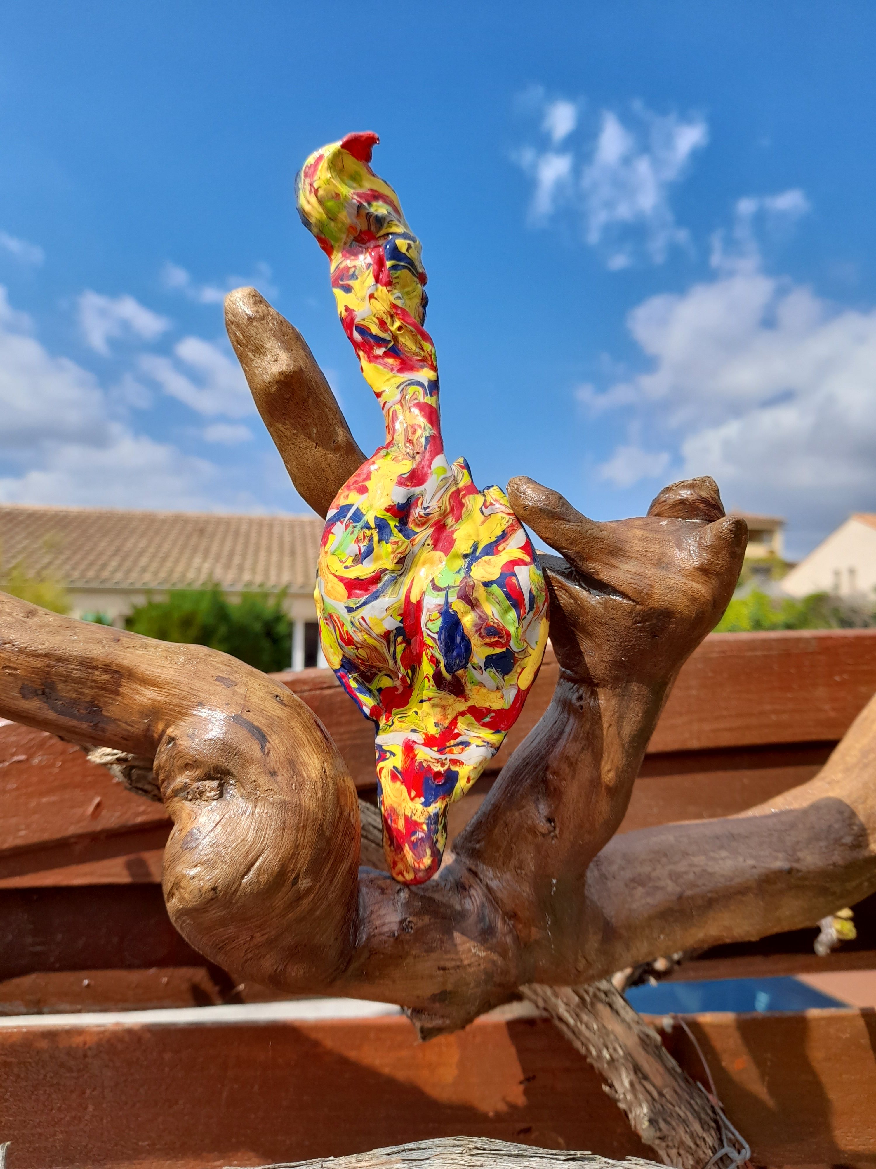 [DSB]L'oiseau qui pavane