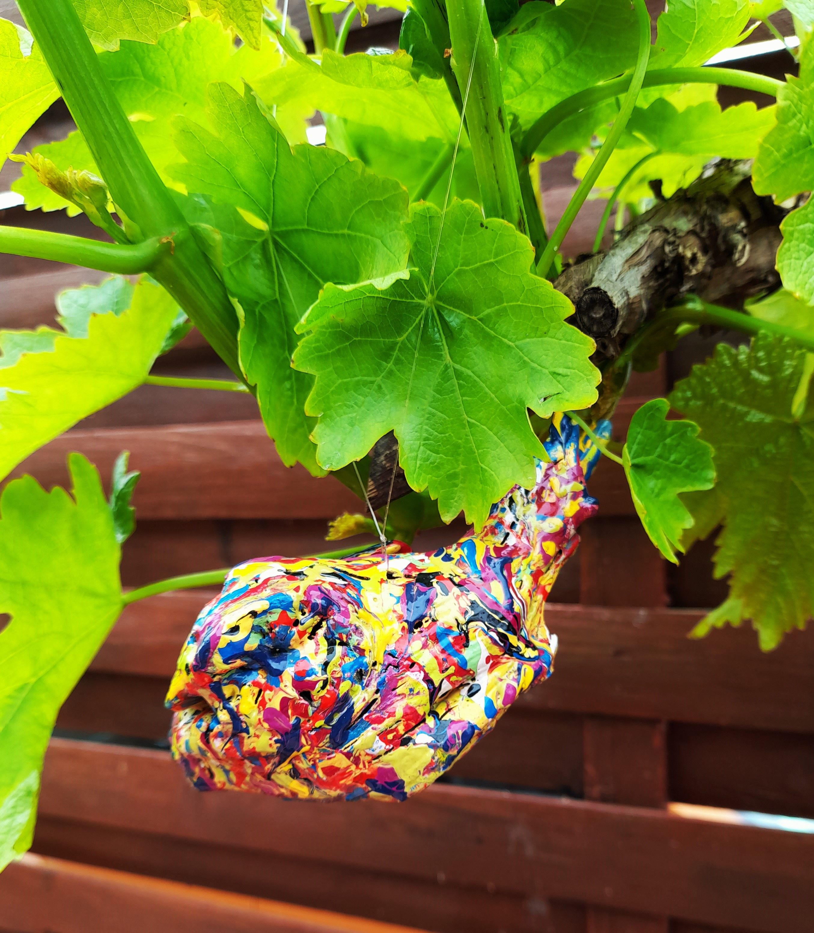 Les oiseaux girouettes 5