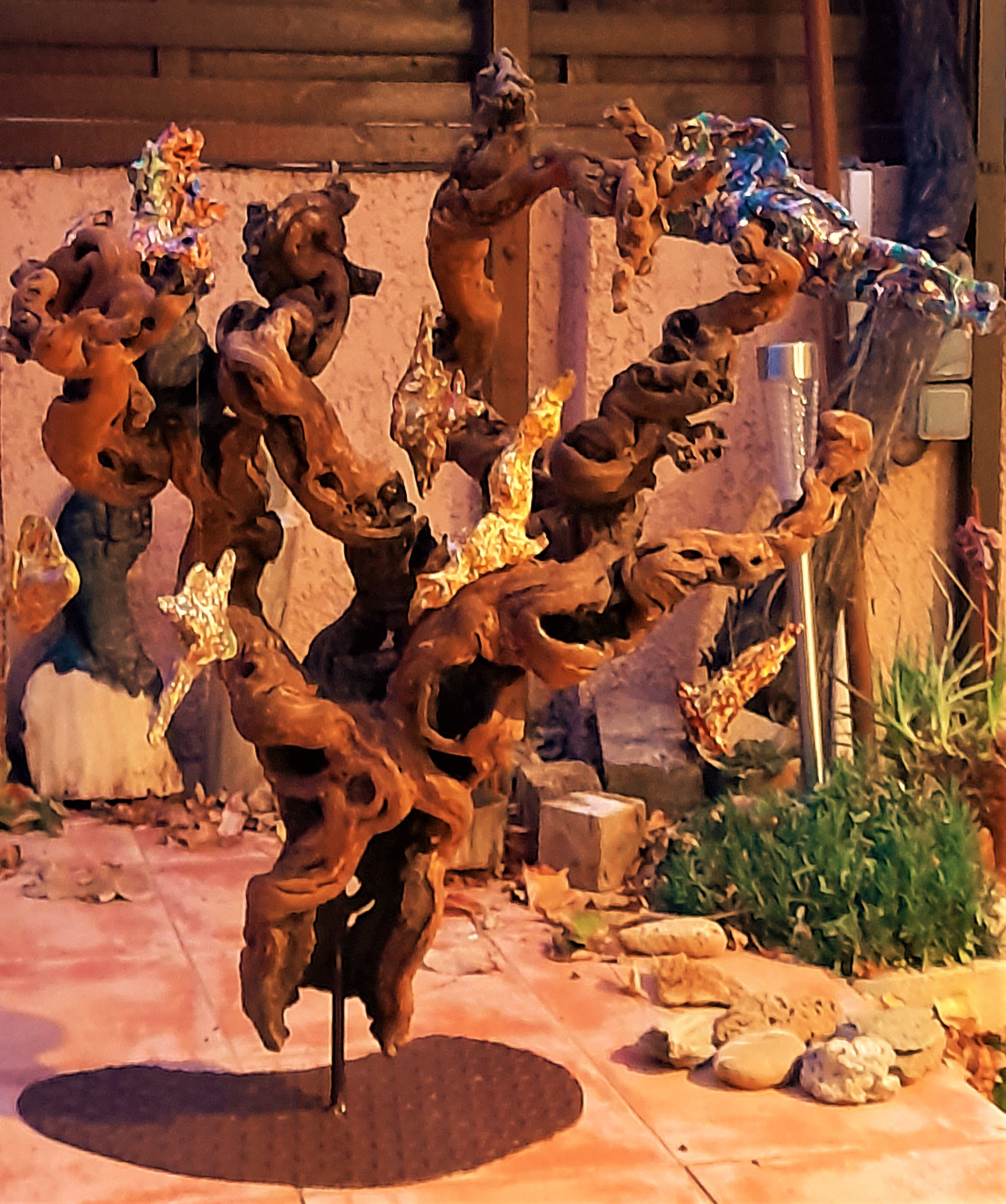 Les oiseaux girouettes