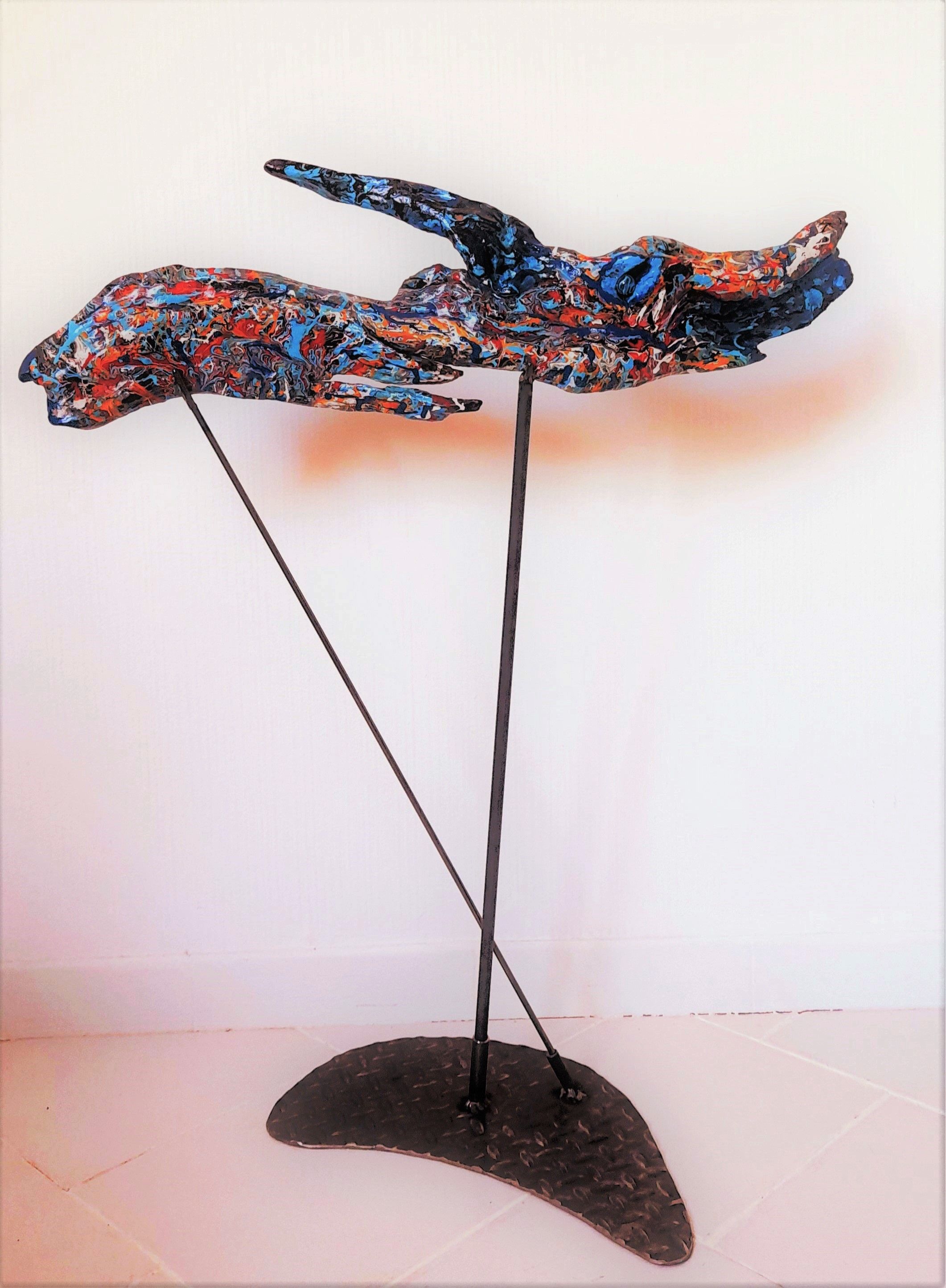 Le requin peau bleue