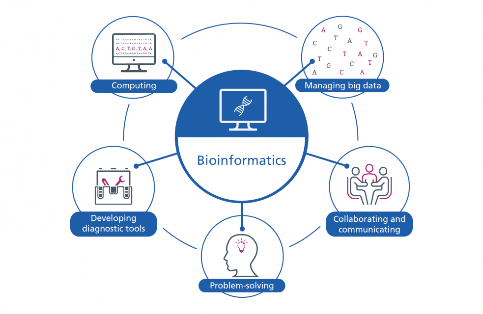 Genomics and Transcriptomics Services - Research Decode Consultancy Cover Image