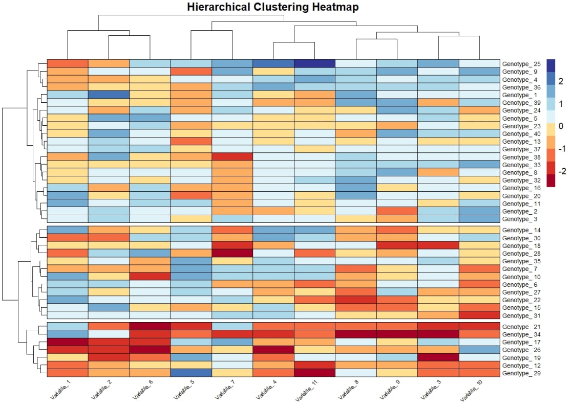 Advanced Statistical & Multivariate Data Analysis using R - Research Decode Consultancy Cover Image