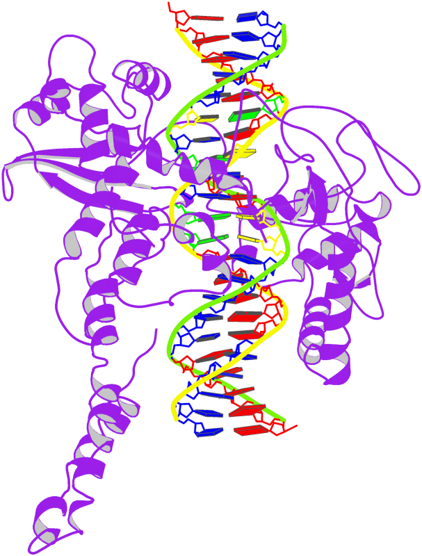 I will help you write a clear, high-quality Thesis or Research Article - Research Decode Consultancy Cover Image