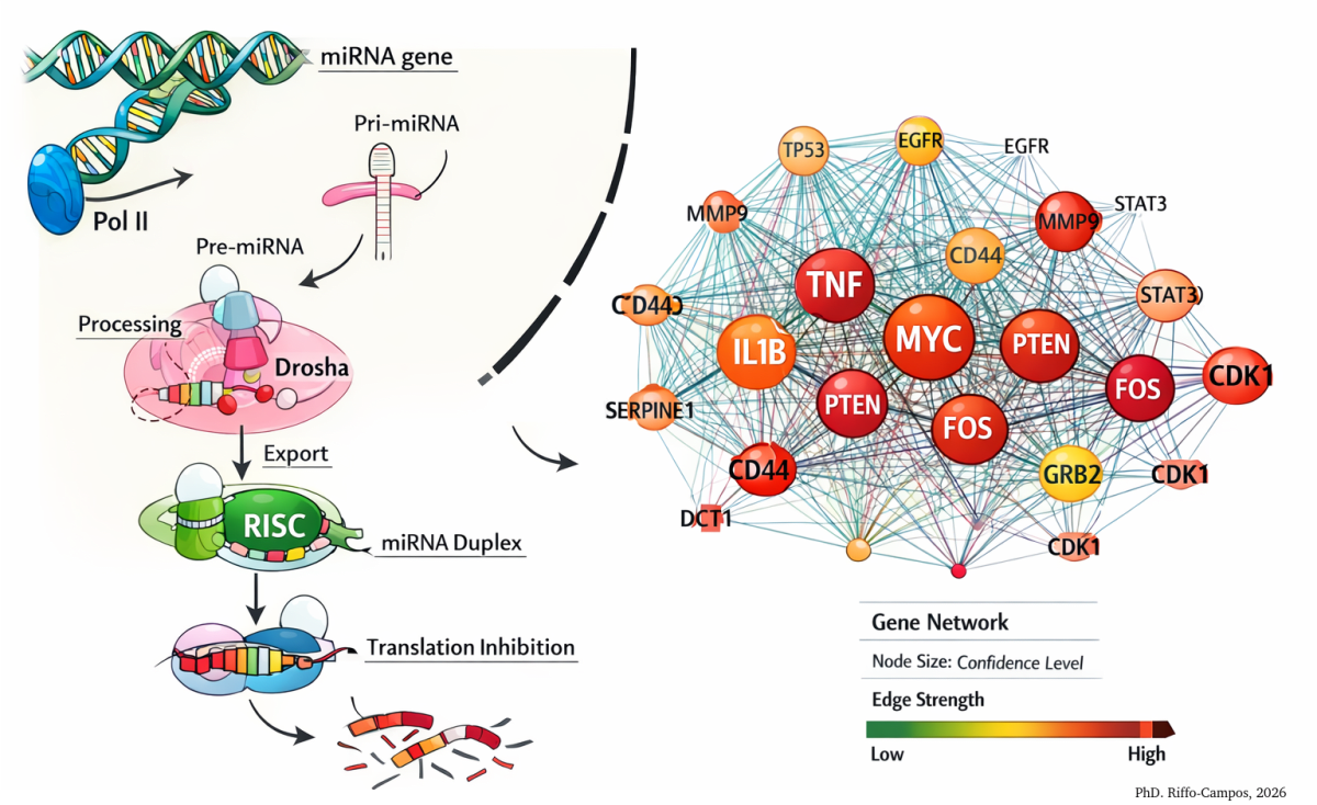 Bioinformatics Analysis for Omics Data (RNA-seq, WES, DNA Methylation) - Research Decode Consultancy Cover Image