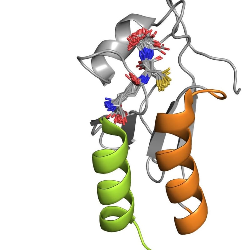 Macromolecular X-ray crystallography, Small angle scattering (SAXS) and selected Biophysical assays (SPR, Biosensors, Flurescence binding assays, DLS, ITC, TSA) - Research Decode Consultancy Cover Image