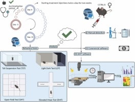 Experimental Design & Methodology Consulting (Neuroscience) - Research Decode Consultancy Cover Image