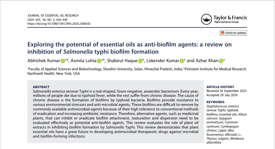 Research/ Review Articles Development Support - Research Decode Consultancy Cover Image