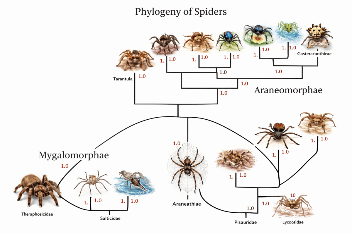 I provide researchers with expert guidance data analysis - Research Decode Consultancy Cover Image