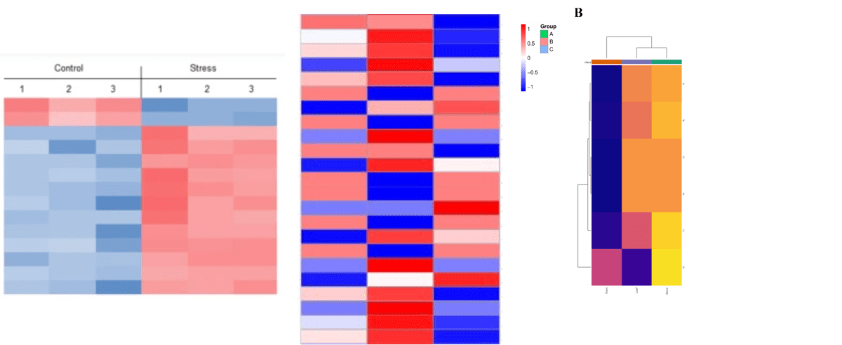 Plant RNA-Seq & Transcriptome Analysis - Research Decode Consultancy Cover Image