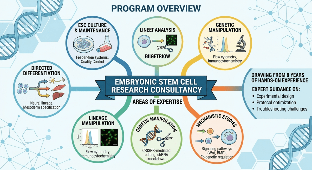 Stem Cell Culture, Differentiation & Lineage Specification Consulting - Research Decode Consultancy Cover Image