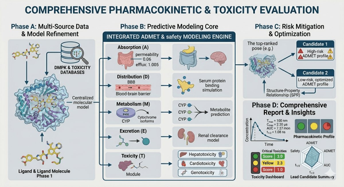 Pharmacokinetic & Toxicity Evaluation - Research Decode Consultancy Cover Image