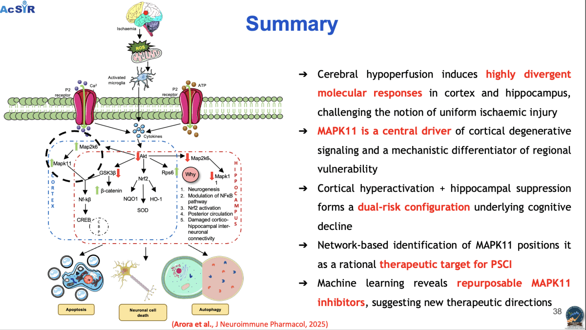 Neuroscience Thesis & Research Mentorship - Research Decode Consultancy Cover Image