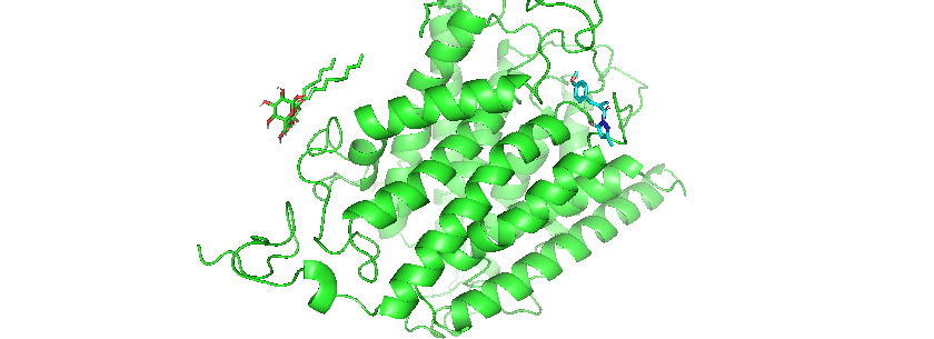 Molecular Docking Package - Research Decode Consultancy Cover Image