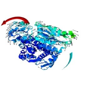 Protein Stimulation - Research Decode Consultancy Cover Image