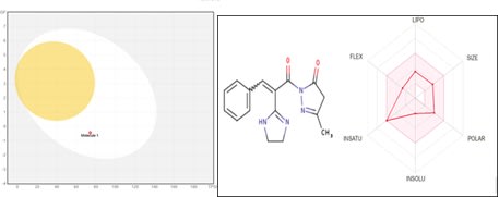 Pharmacokinetics activity - Research Decode Consultancy Cover Image
