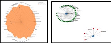 Toxicity Analysis - Research Decode Consultancy Cover Image