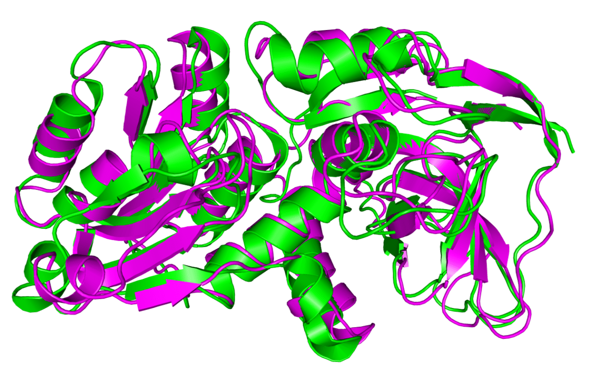 Protein superposition - Research Decode Consultancy Cover Image