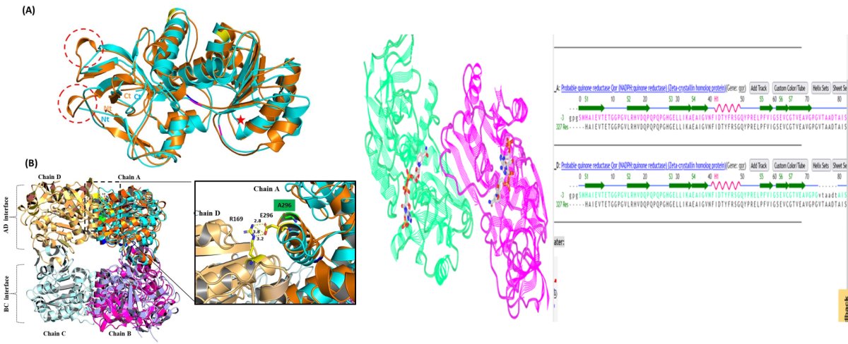 Protein Structure Visualization via PyMoL and iCn3D - Research Decode Consultancy Cover Image