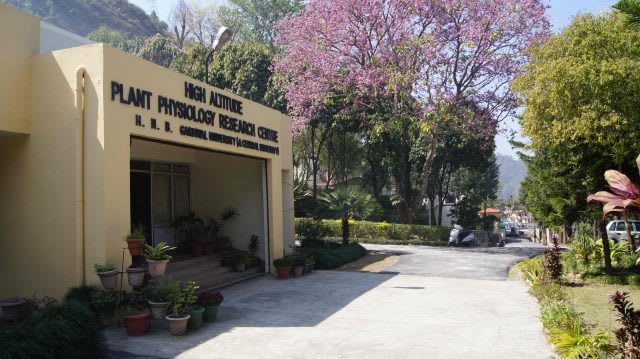 M. Phil. and Doctorate thesis writing - Research Decode Consultancy Cover Image