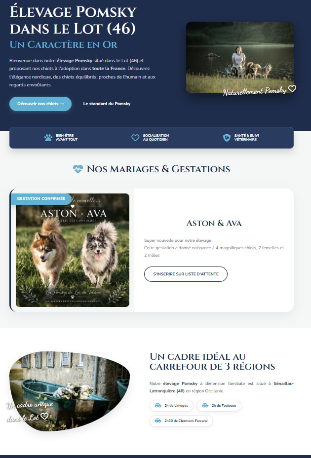 Aperçu de l'interface d'administration sur-mesure pour Pomsky Tolerme