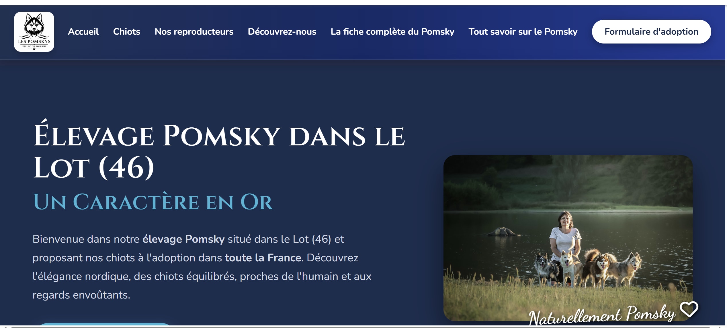 Aperçu de la page d'accueil de l'élevage Pomsky Tolerme