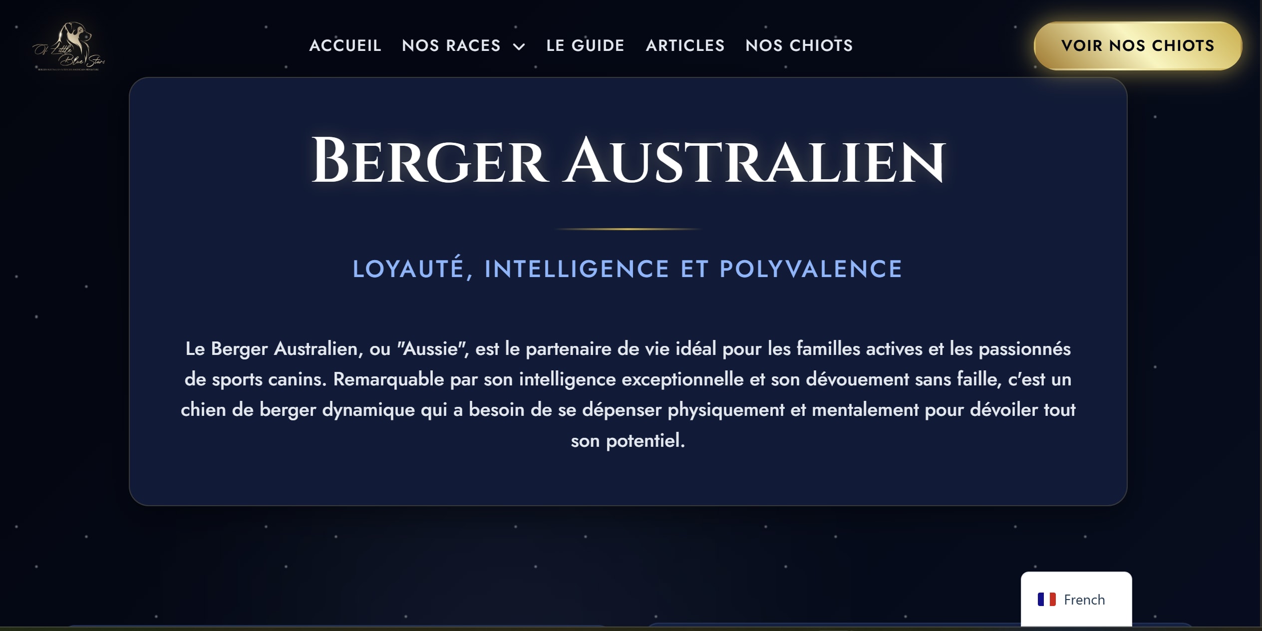Détail des fonctionnalités et tests de santé affichés sur le site web