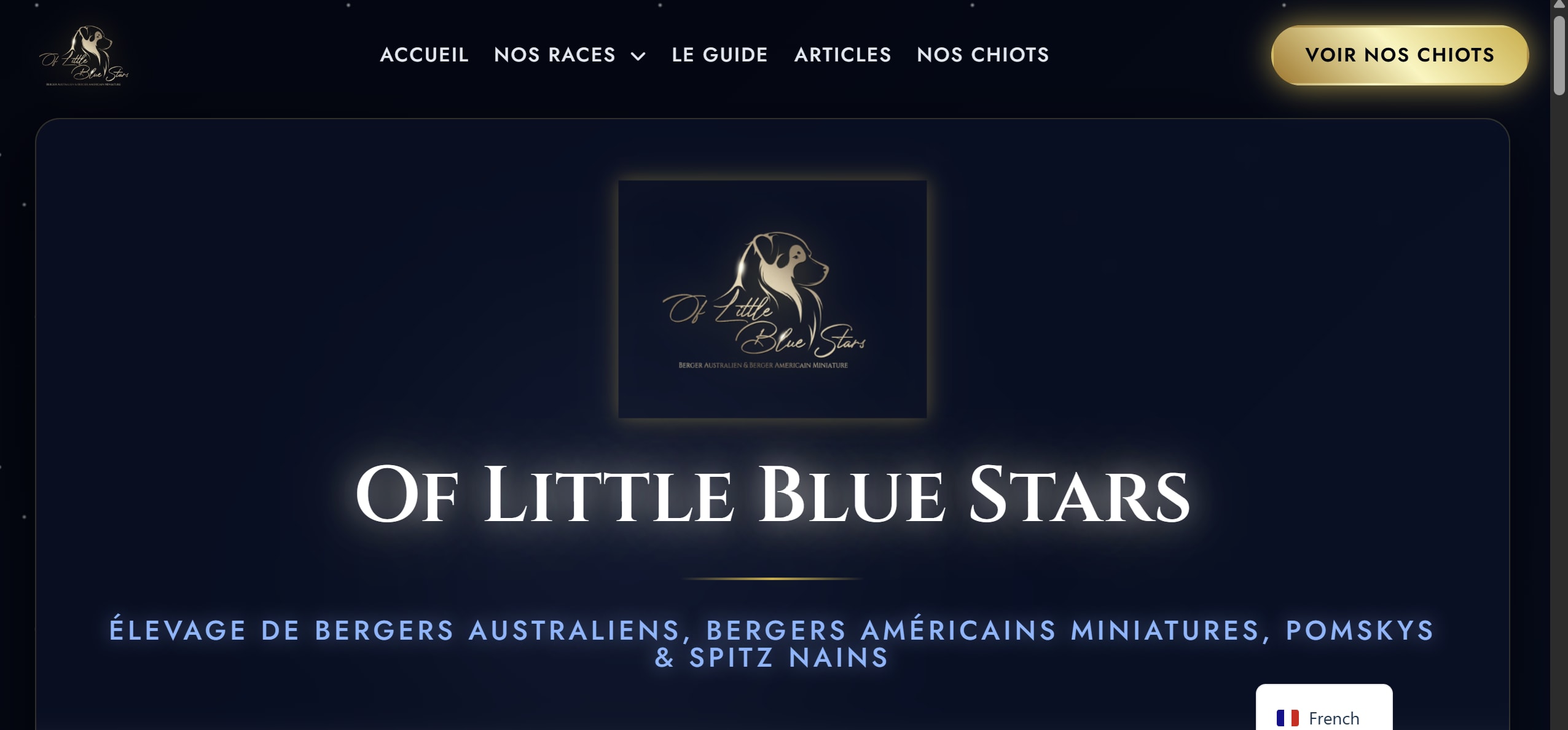 Interface de présentation des chiens reproducteurs sur le site Of Little Blue Stars