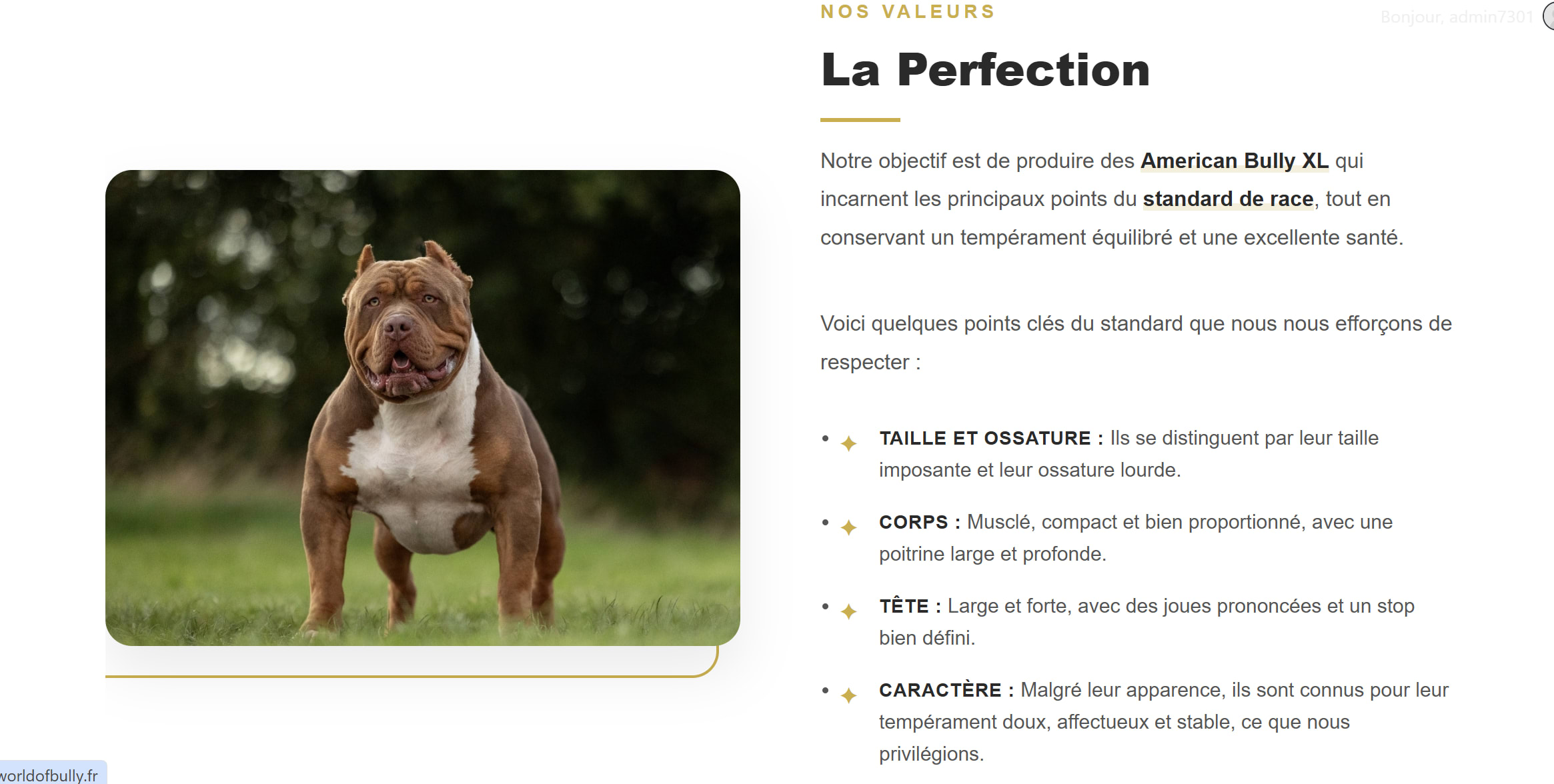 Présentation de la Web Application Le Guide du Bully