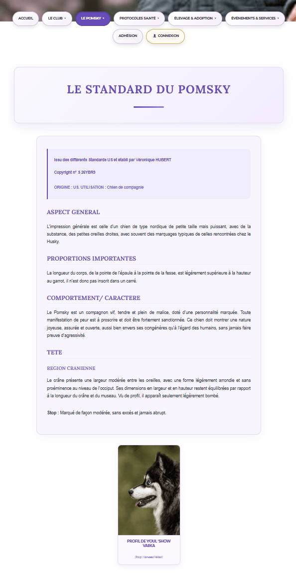 Explication du standard officiel de la race Pomsky