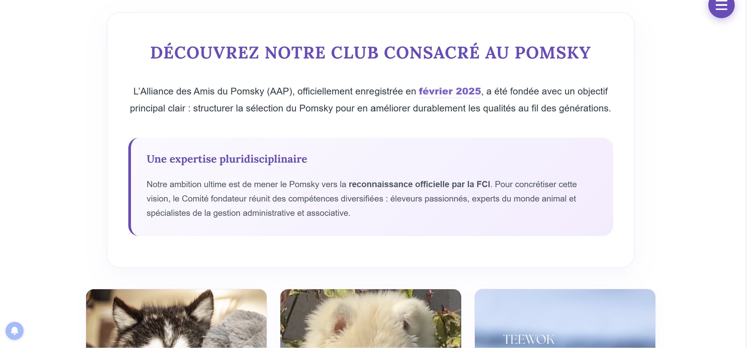 Le club consacré au Pomsky et son ambition d'expertise