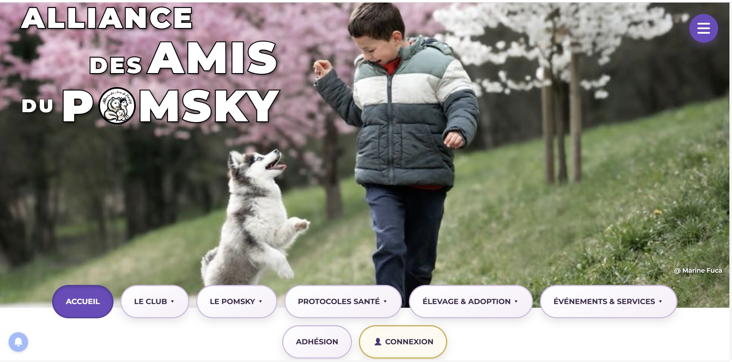 Nouvelle page d'accueil de l'Alliance des Amis du Pomsky