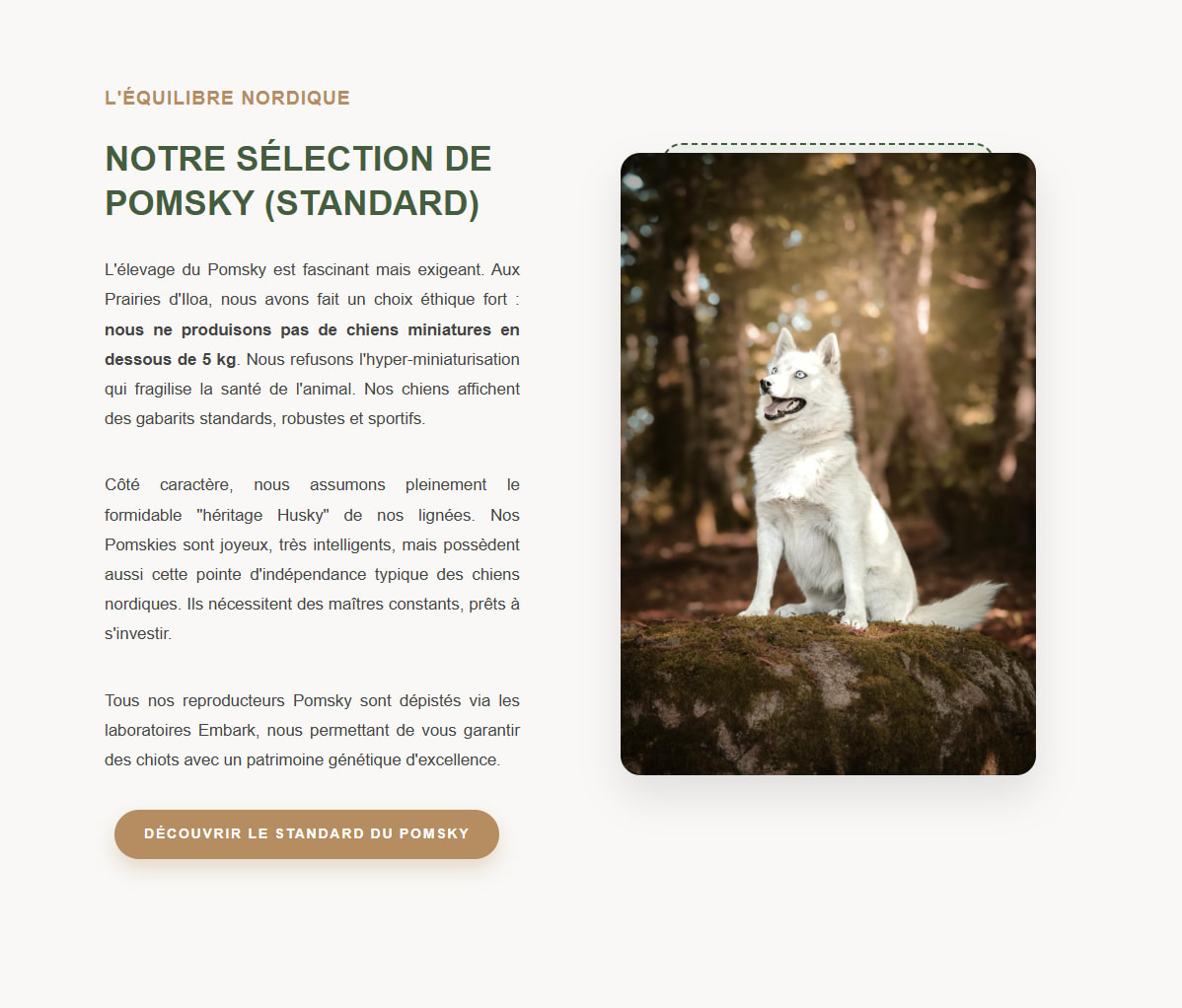 Aperçu de la page de gestion des chiots de l'élevage d'Iloa
