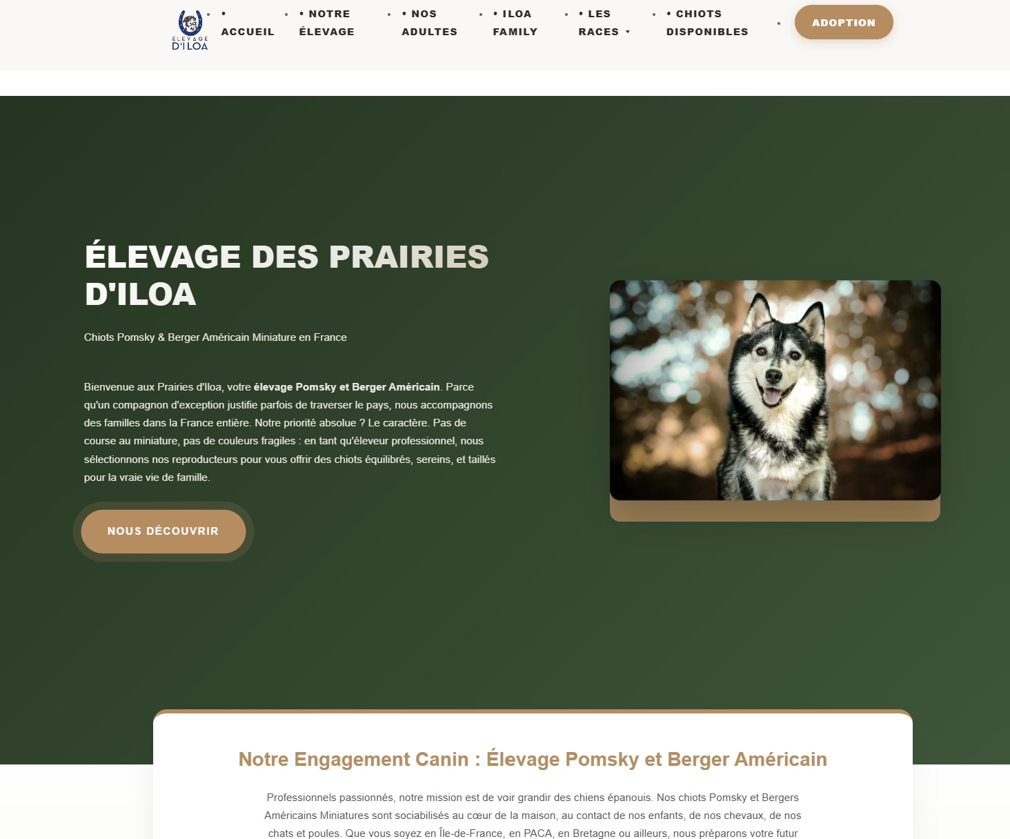 Aperçu de la page d'accueil de l'élevage des Prairies d'Iloa