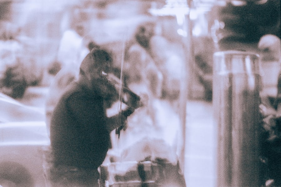 The Violinist