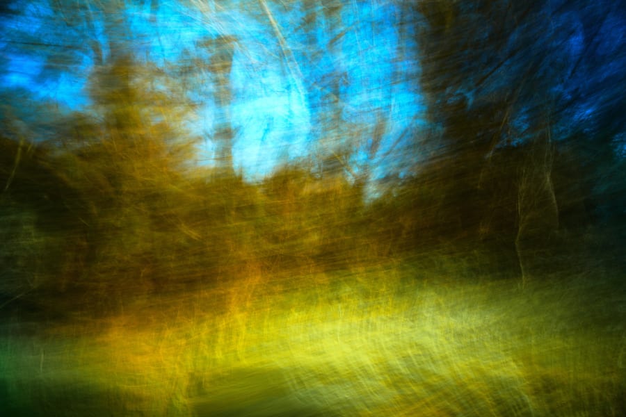 Understory