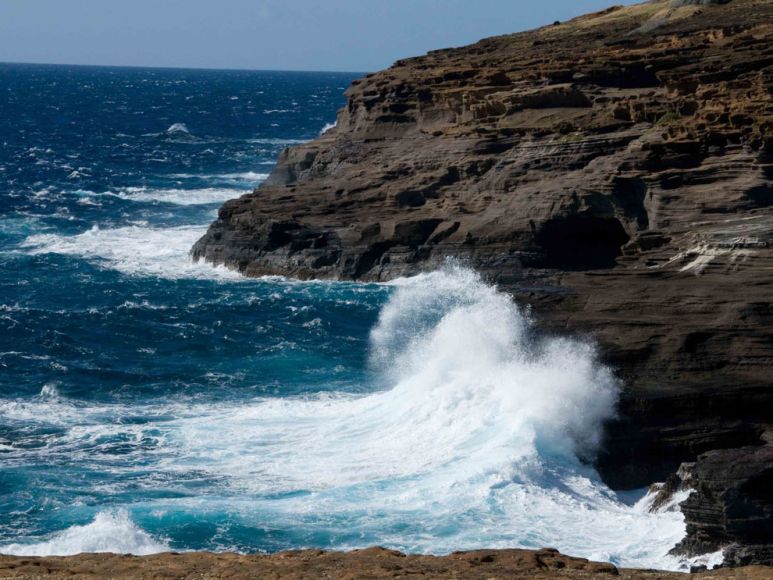 Coast of Oahu