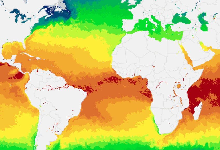 Current Surface Temperature Map Mapmaker: Sea Surface Temperature | National Geographic Society