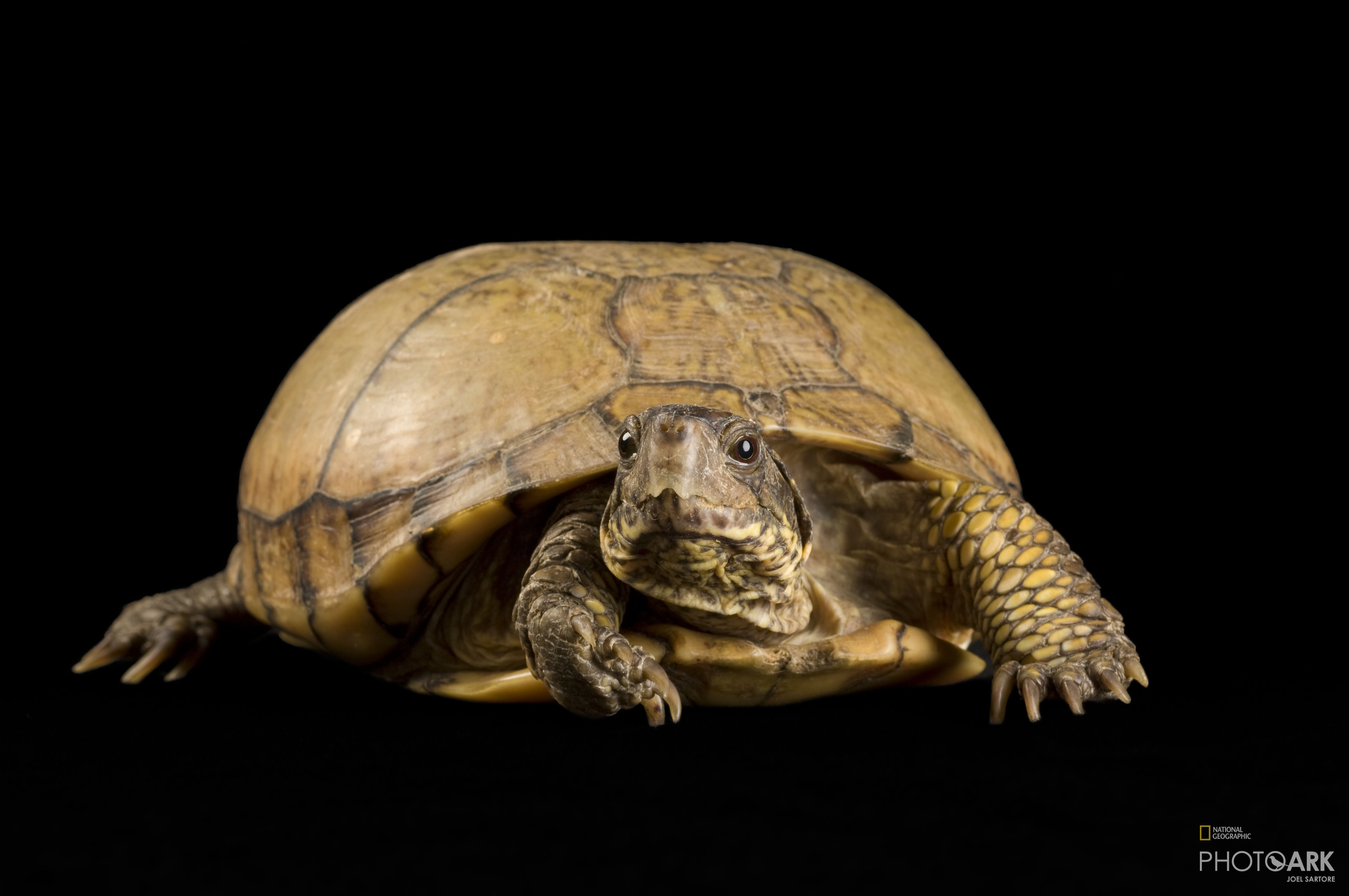 Lincoln, Nebraska, USA