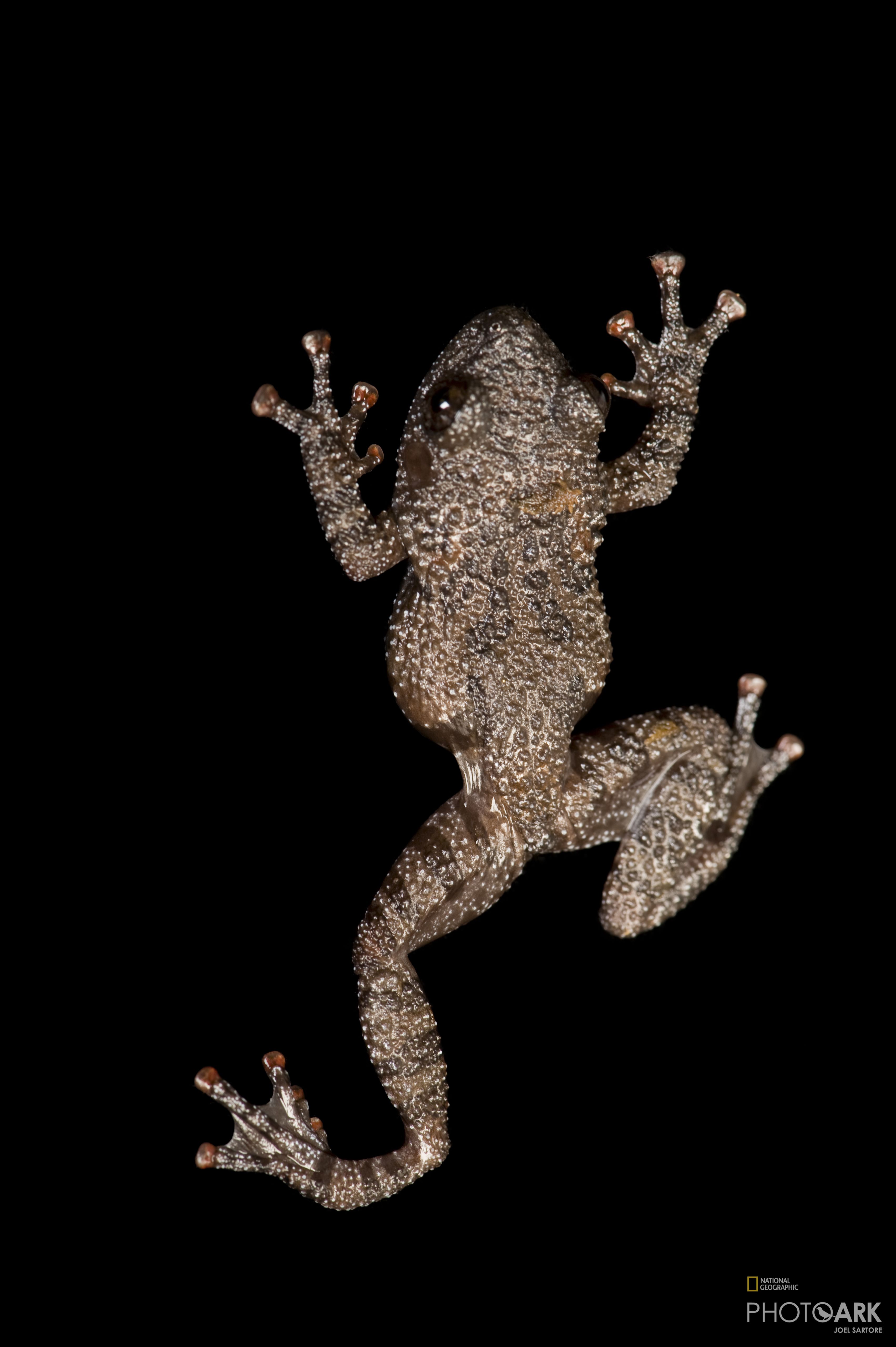 Fresno Chaffee Zoo, Fresno, California