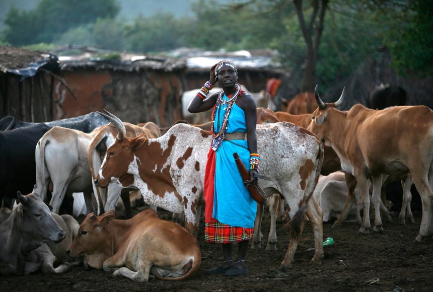 What Is The Importance Of Cattle Farming Class 9