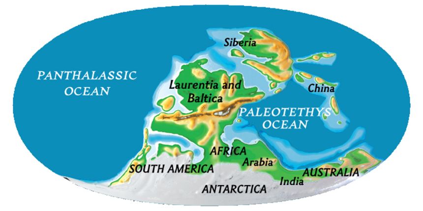 effects of continental drift