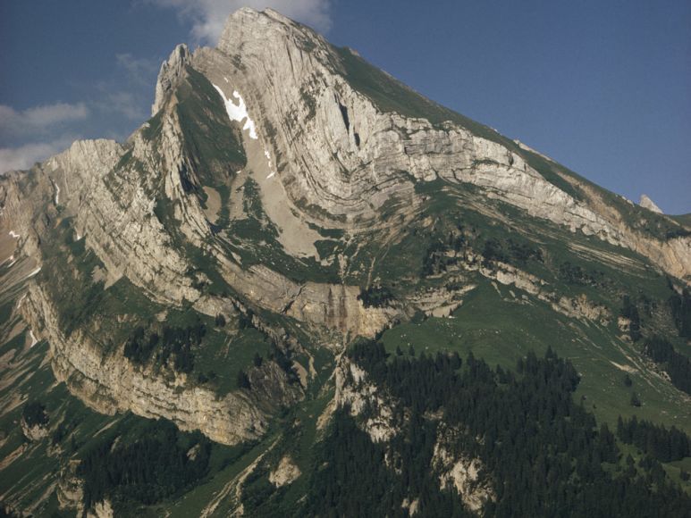 Wildhauser Schafberg