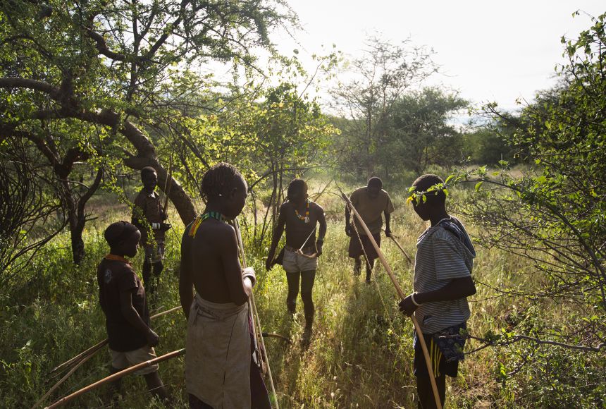 what has changed for foraging bands in contemporary times