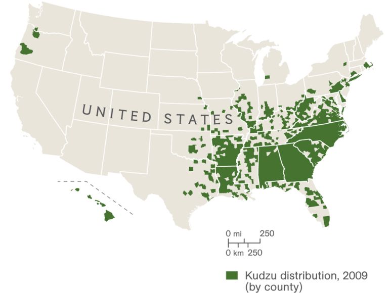 Definition Of Distribution Map Distribution | National Geographic Society