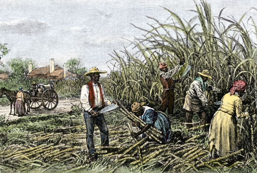 The Plantation System National Geographic Society