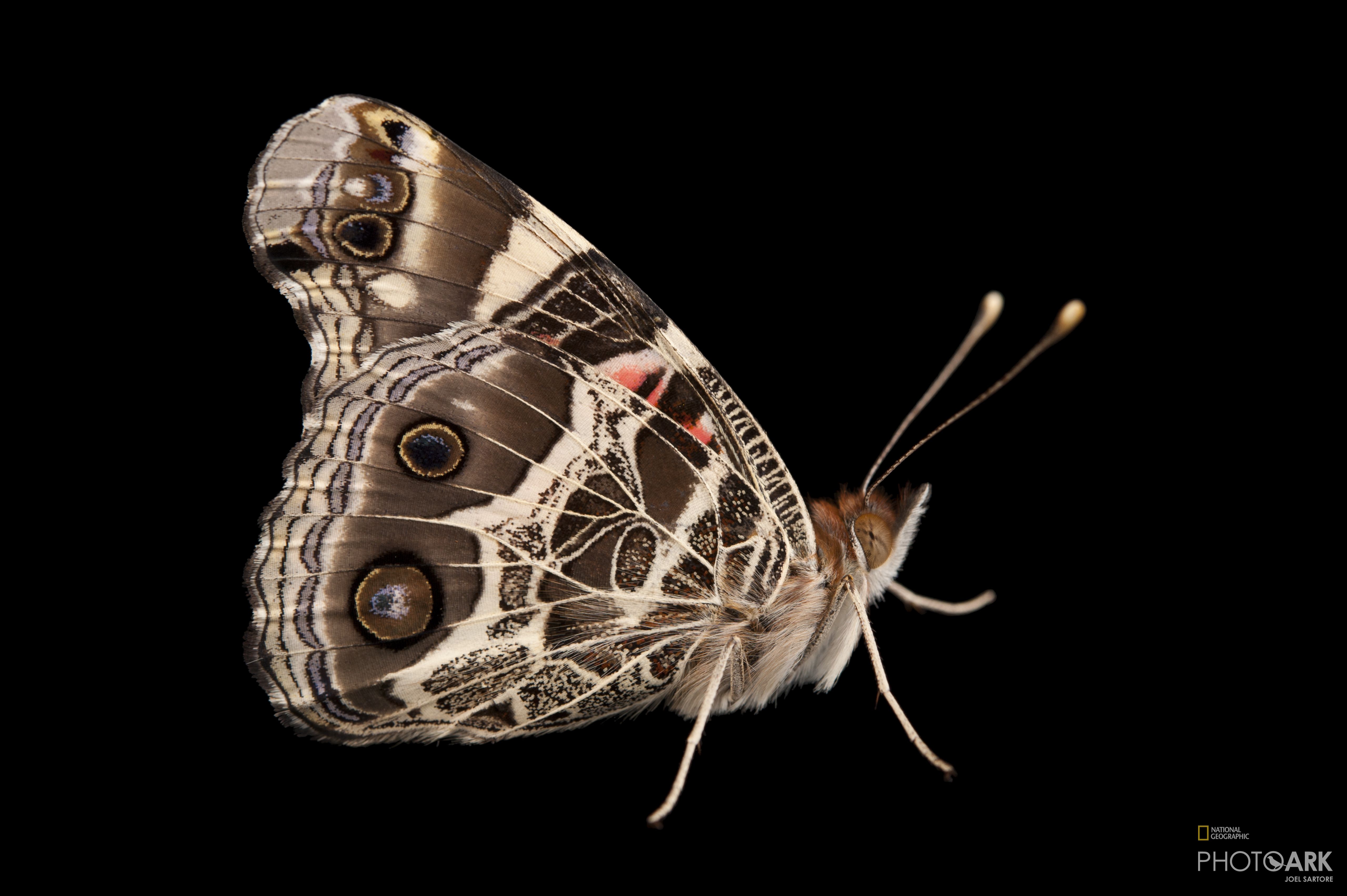 Cross Lak, Cross Lake, Minnesota, USA