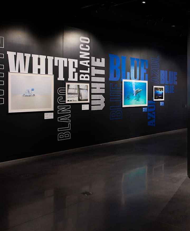 A photo taken from inside the "Red, White & Blue" exhibition shows vibrant framed photography that aligns with the theme. 